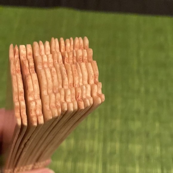 Chinese Crafted Bovine bone Fan - Picture 10 of 14